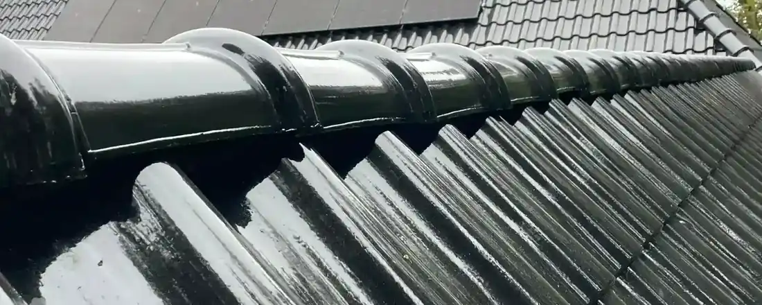 Nieuw schuin dak met zwarte dakpannen, uitgevoerd door Dakexpert Noord in Noord-Nederland