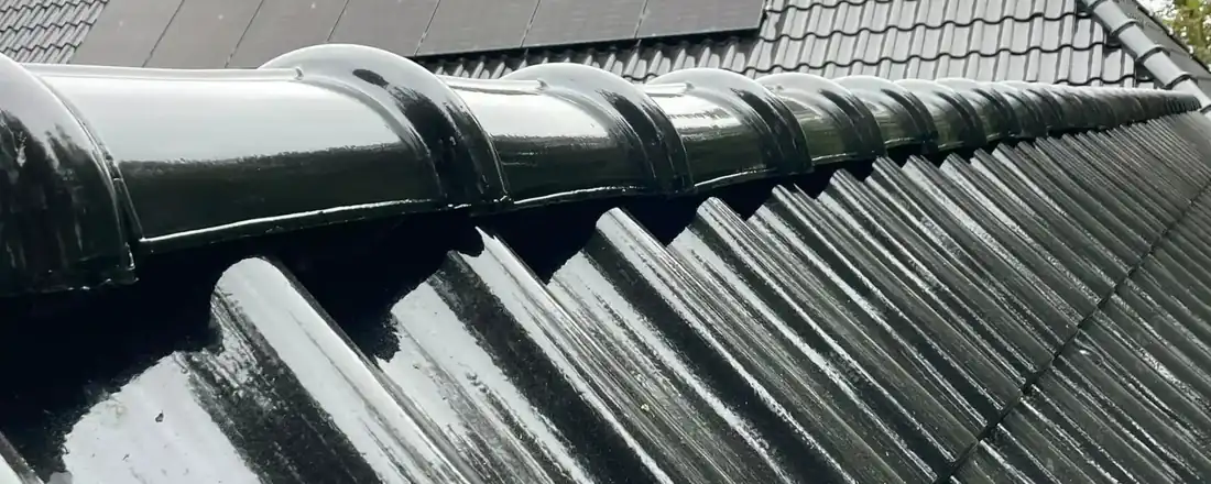 Schuin dak met nieuwe dakpannen, uitgevoerd door Dakexpert Noord